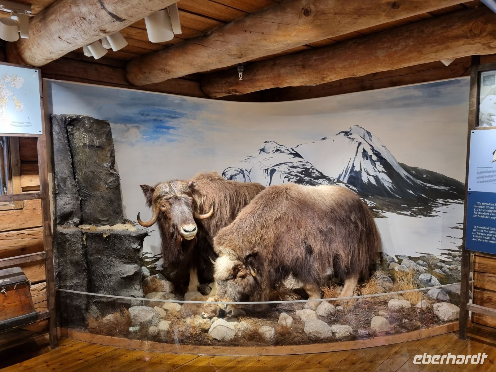 Tromsø - Polarmuseum  &ndash; &copy; Katrin Deutschbein (Eberhardt TRAVEL)