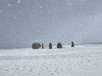 Nordkap - Denkmal der Kinder der Welt &ndash; &copy; Katrin Deutschbein (Eberhardt TRAVEL)