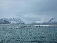 ...unterwegs zwischen Harstad und Stamsund... (Fahrt durch den Risøy-Kanal) &ndash; &copy; Katrin Deutschbein (Eberhardt TRAVEL)