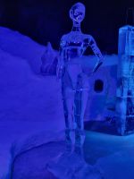 Svolvær (Lofoten) - Magic Ice Bar &ndash; &copy; Katrin Deutschbein (Eberhardt TRAVEL)