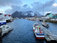 Tag 9 - Henningsvær.jpg &ndash; &copy; Christin Kuschka (Eberhardt TRAVEL)