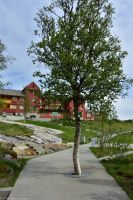Vøringsfossen im Måbødalen - neue Fußgängerbrücke (in Y-Form) und neue Aussichtsplattformen &ndash; &copy; Martin Büchner (Eberhardt TRAVEL)