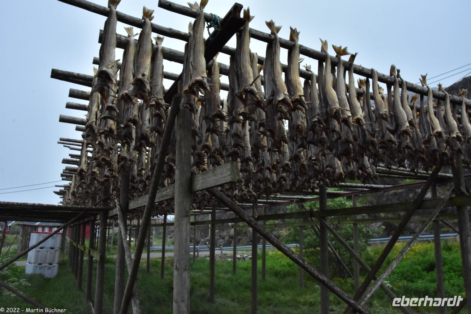 Stockfisch &ndash; &copy; Martin Büchner (Eberhardt TRAVEL)