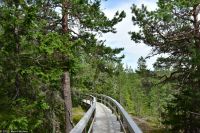 Skuleberget an der 