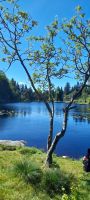 See auf dem Floyen, Wandergebiet &ndash; &copy; Ingrid Langer (Eberhardt TRAVEL)