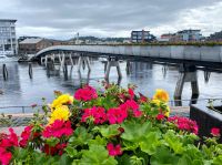 Tag 3 - Blumenbrücke in Trondheim.jpg &ndash; &copy; Christin Kuschka (Eberhardt TRAVEL)