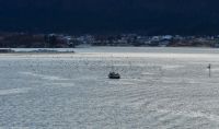 Hurtigruten - M/S Trollfjord - unterwegs entlang der Märchenküste Helgeland in der Provinz Nordland - ein Fischerboot &ndash; &copy; Martin Büchner (Eberhardt TRAVEL)