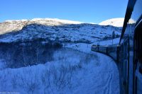 Silvester in Norwegen 0093 &ndash; &copy; Martin Büchner (Eberhardt TRAVEL)