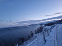 Altafjord