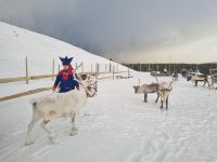 Alta - Sami Siida &ndash; &copy; Katrin Deutschbein (Eberhardt TRAVEL)