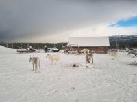 Alta - Sami Siida &ndash; &copy; Katrin Deutschbein (Eberhardt TRAVEL)
