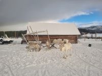Alta - Sami Siida &ndash; &copy; Katrin Deutschbein (Eberhardt TRAVEL)