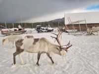 Alta - Sami Siida &ndash; &copy; Katrin Deutschbein (Eberhardt TRAVEL)