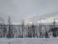 Abisko Nationalpark &ndash; &copy; Sinah Witzig (Eberhardt TRAVEL)