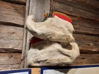 Nutti Sami Dorf &ndash; &copy; Sinah Witzig (Eberhardt TRAVEL)