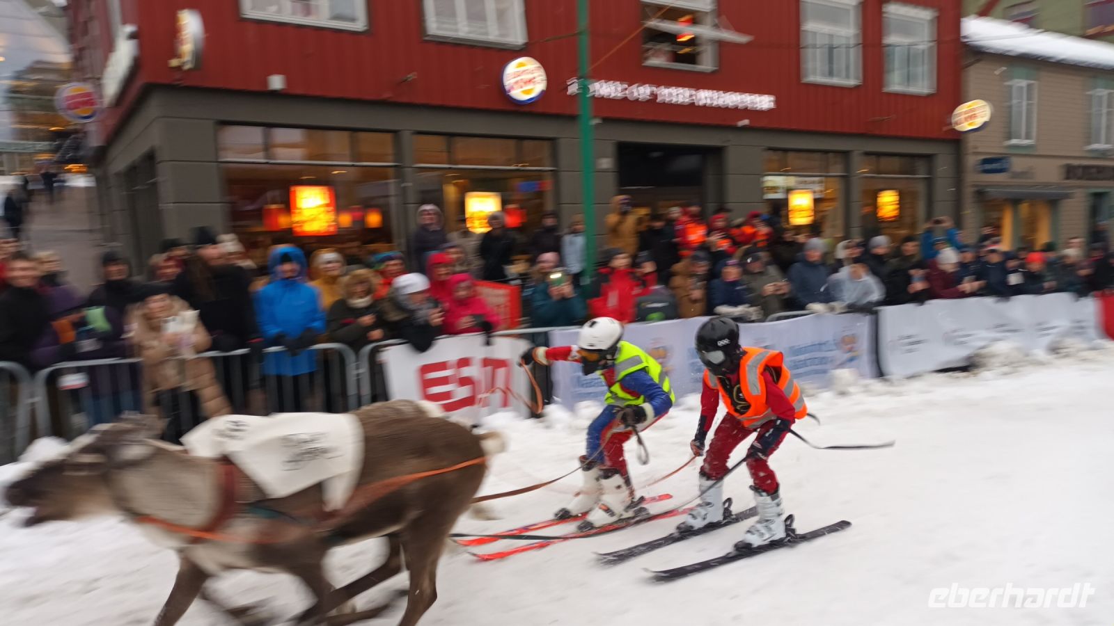 Rentier-Ski-Rennen &ndash; &copy; Martin Büchner (Eberhardt TRAVEL)