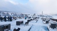 Heim der Schlittenhunde