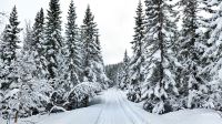 Schneemobilfahrt in den Lyngen-Alpen &ndash; &copy; Martin Büchner (Eberhardt TRAVEL)