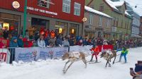 Rentier-Ski-Rennen &ndash; &copy; Martin Büchner (Eberhardt TRAVEL)