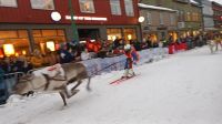Rentier-Ski-Rennen &ndash; &copy; Martin Büchner (Eberhardt TRAVEL)
