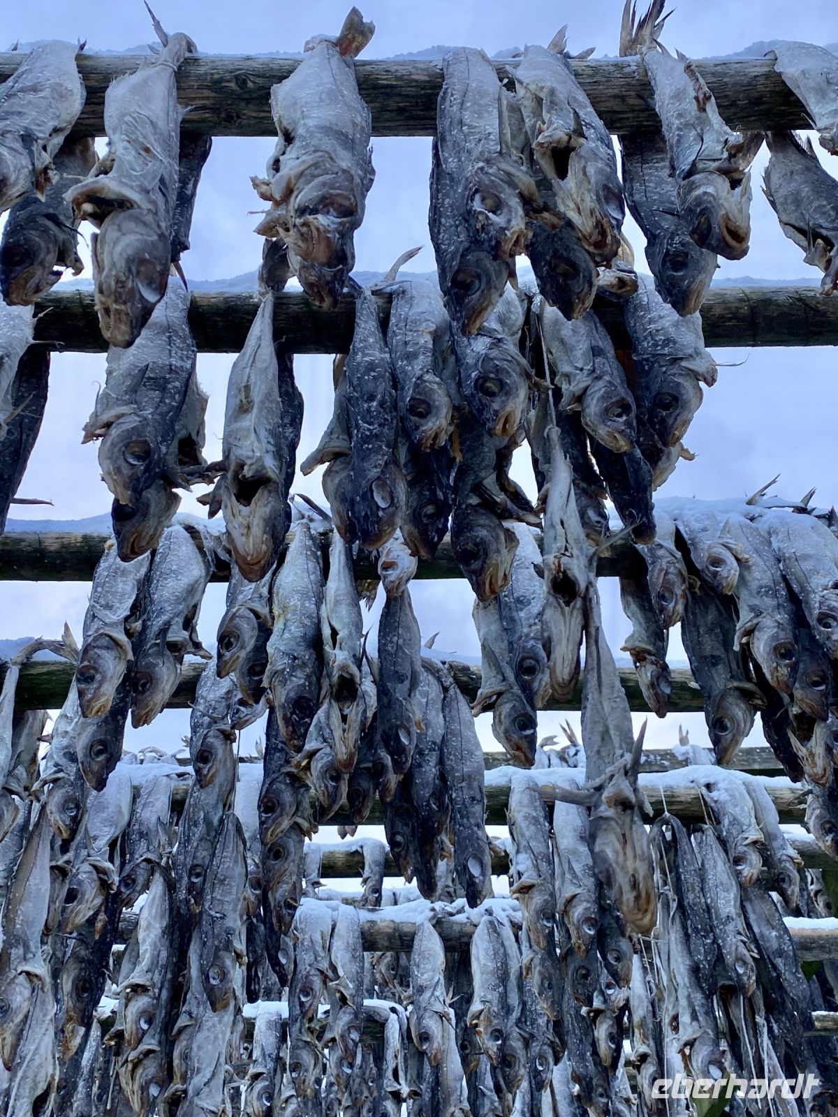 Tag 3 - Stockfisch  &ndash; &copy; Christin Kuschka (Eberhardt TRAVEL)
