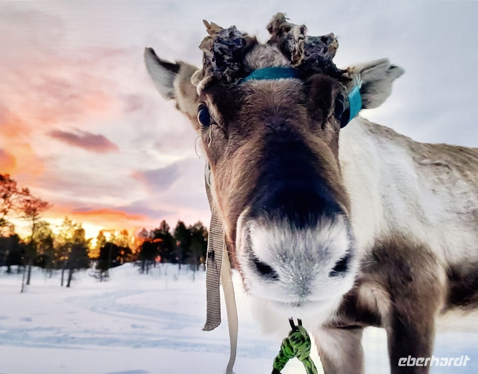 &copy; Petra Hady (Eberhardt TRAVEL)