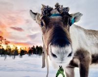 &copy; Petra Hady (Eberhardt TRAVEL)