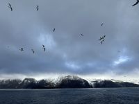 Hurtigruten - MS Spitsbergen - Jan Mayen  &ndash; &copy; Sabine Letzybyll (Eberhardt TRAVEL)