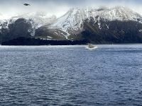Hurtigruten - MS Spitsbergen - Jan Mayen  &ndash; &copy; Sabine Letzybyll (Eberhardt TRAVEL)
