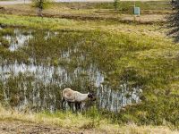 &copy; Michael Rass (Eberhardt TRAVEL)