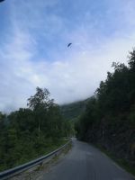 Was ist das für ein Vogel? &ndash; &copy; Marta Rass (Eberhardt TRAVEL)