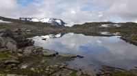 Sognefjell - Fv 55 &ndash; &copy; Martin Büchner (Eberhardt TRAVEL)