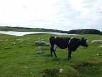 Jæren-Wanderung &ndash; &copy; Ralf Kuchenbecker (Eberhardt TRAVEL)