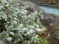am Godafoss &ndash; &copy; Nicole Fischer (Eberhardt TRAVEL)