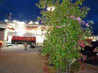 Rosenstadt Molde &ndash; &copy; Hartwig Köllner (Eberhardt TRAVEL)