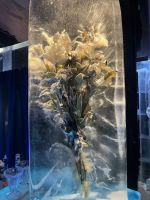 Magic Ice Bar in Svolvær  &ndash; &copy; Madlena Voigt (Eberhardt TRAVEL)
