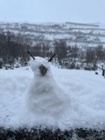 Schneemöwendings &ndash; &copy; Madlena Voigt (Eberhardt TRAVEL)
