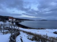 Ausflug Vesterålen &ndash; &copy; Madlena Voigt (Eberhardt TRAVEL)