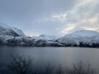Ausflug Vesterålen &ndash; &copy; Madlena Voigt (Eberhardt TRAVEL)