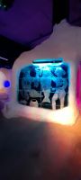 Magic ICE Bar Svolvär  &ndash; &copy; Ingrid Langer (Eberhardt TRAVEL)