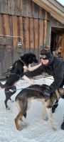 Ausflug zu den Huskys  &ndash; &copy; Ingrid Langer (Eberhardt TRAVEL)