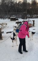 Husky und RL Ingrid &ndash; &copy; Ingrid Langer (Eberhardt TRAVEL)