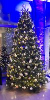 EWS - es weihnachtet in Bergen ????  &ndash; &copy; Ingrid Langer (Eberhardt TRAVEL)