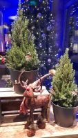 EWS - es weihnachtet in Bergen ????  &ndash; &copy; Ingrid Langer (Eberhardt TRAVEL)