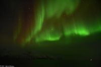 Skjervøy geht immer - Polarlicht! &ndash; &copy; Martin Büchner (Eberhardt TRAVEL)