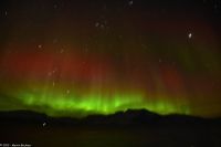 Skjervøy geht immer - seltenes rotes Polarlicht! &ndash; &copy; Martin Büchner (Eberhardt TRAVEL)