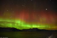 Skjervøy geht immer - seltenes rotes Polarlicht! &ndash; &copy; Martin Büchner (Eberhardt TRAVEL)