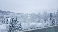 Bergensbane - Mit der Bergenbahn von Oslo durch das Hallingdal nach Myrdal &ndash; &copy; Martin Büchner (Eberhardt TRAVEL)