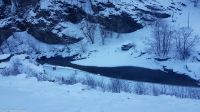 Flåmsbane - Ziegen im Flåmsdalen  &ndash; &copy; Martin Büchner (Eberhardt TRAVEL)