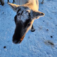 &copy; Petra Hady (Eberhardt TRAVEL)